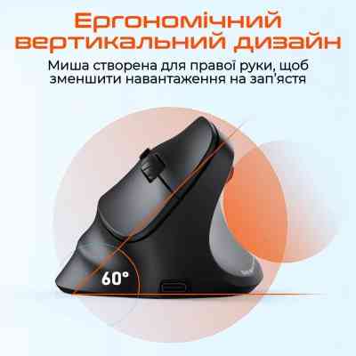 Мишка Meetion BTM010R RGB Bluetooth/Wireless Black (MT-BTM010R-A) Вінниця
