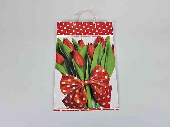 Великий паперовий пакет вертикальний 25/37/8 (артBV-066) (12 шт.) Харків