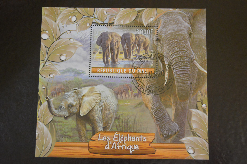 Малі. Марки. Фауна. Блок. 2020 рік (В-4) Полтава - фото 1