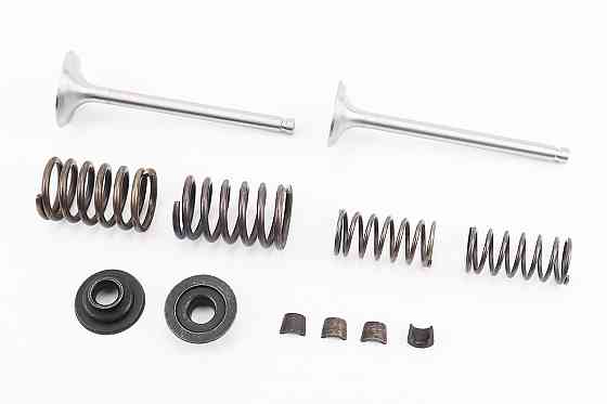 Клапан впускний (h-115; D-39; d-7,95), випускний (h-115; D-33; d-7,95) + клапанний механізм к-кт R185N/R190N/R192N Киев