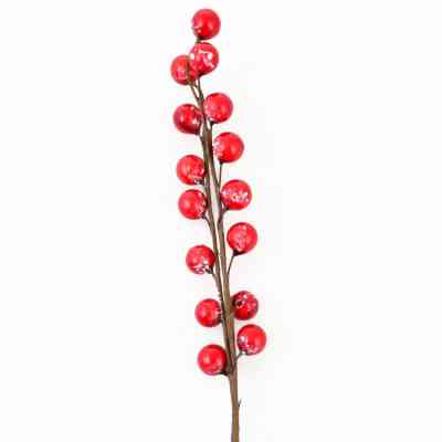Украшение декоративное YES! Fun Ветка с красными ягодами, 26 см (973524) Винница