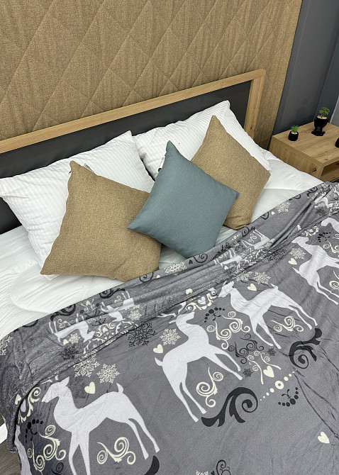 Плед-покрывало 200х230 см с рождественским принтом Разноцветный (87-326) Киев - изображение 2