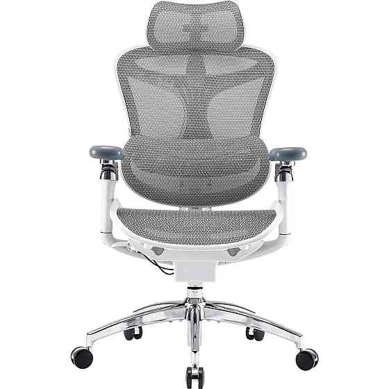 Крісло офісне Sihoo Doro C300 Pro Mesh White (DORO-C300-PRO-M102) ( 11715 ) Харків