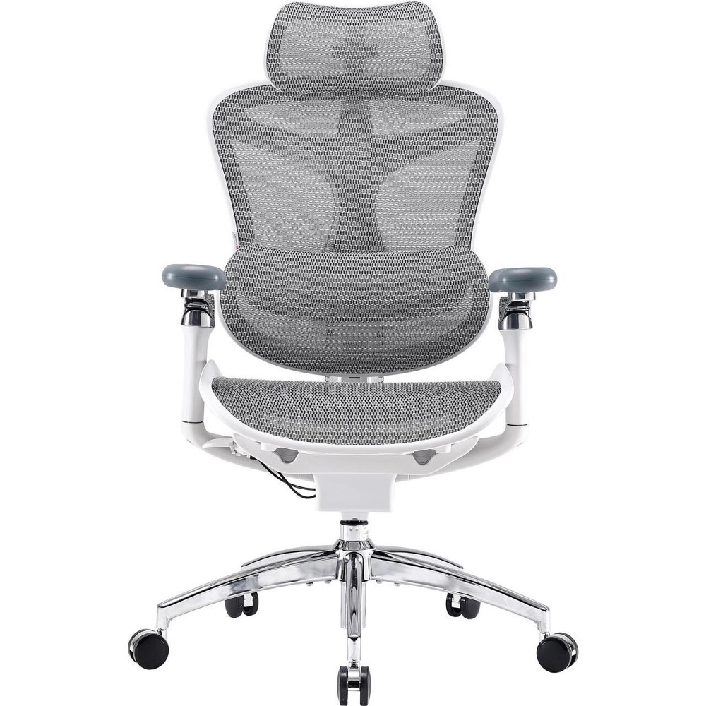 Крісло офісне Sihoo Doro C300 Pro Mesh White (DORO-C300-PRO-M102) ( 11715 ) Харків - фото 1