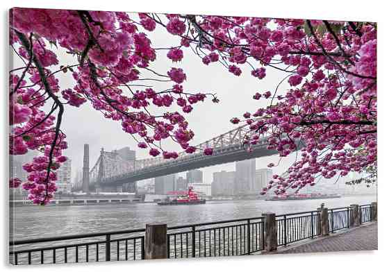 Картина холст у вітальню / спальню  Сакура    MLP_65 ( 60х30см ) 70x140 см Київ