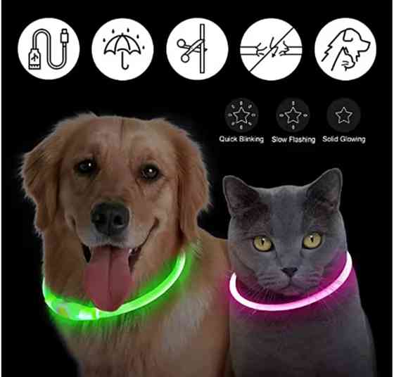 Светящийся ошейник для собак или котов с USB зарядкой три режима свечения L 70 см прозрачный мультиколор Киев