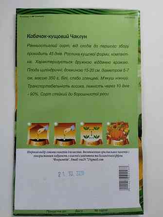 Кабачок кустовой 