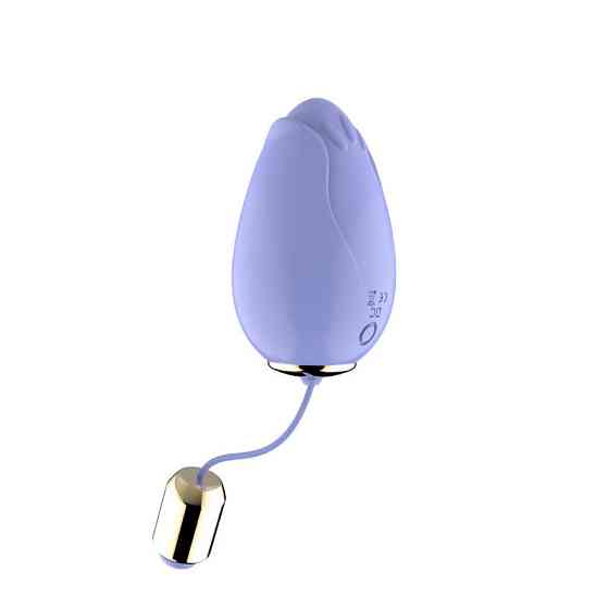Виброяйцо Mandala light purple Sex Aura Киев