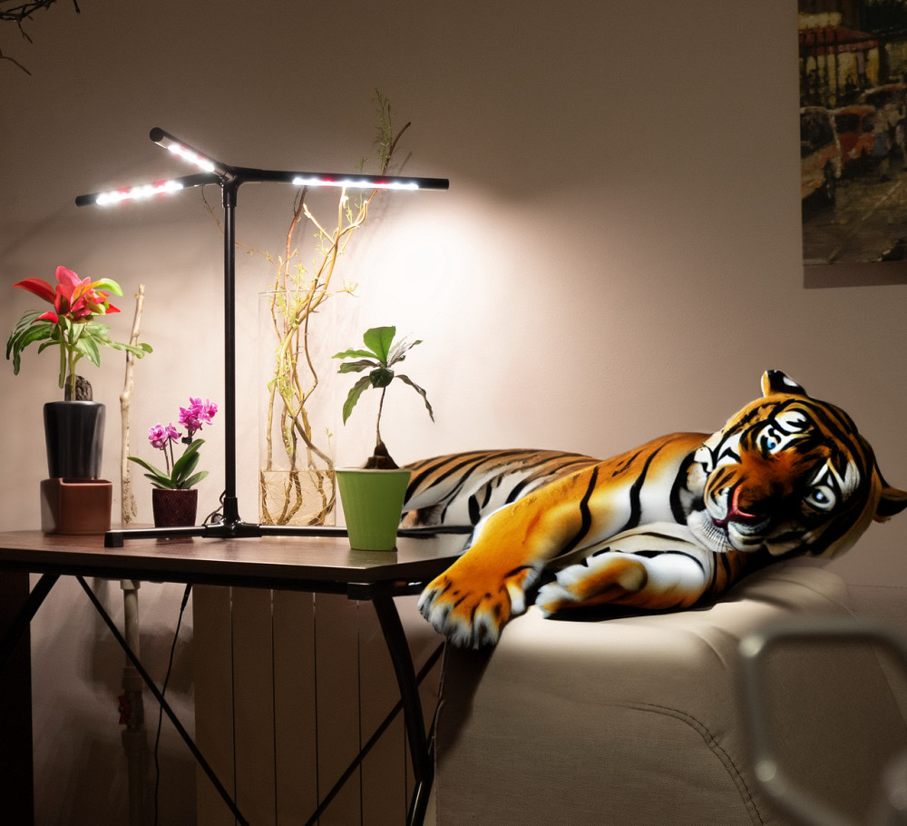 Фітолампа для рослин, квітів, орхідей, розсади - фітосвітильник повного спектру "Romario" Борисполь - изображение 9