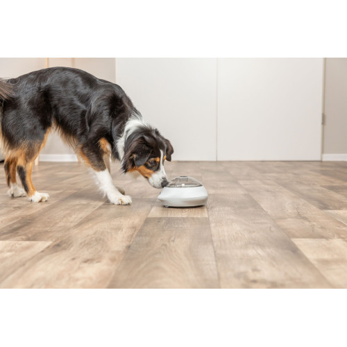 Игрушка-кормушка Trixie для собак Snack Popper белая пластик 21х10х12 см Киев - изображение 13