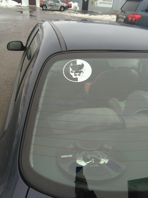 Наклейка на авто Пітбуль Біла світловідбивна Київ - фото 3