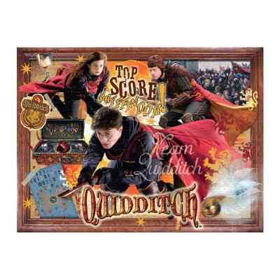 Пазл Winning Moves Harry Potter Quidditch 1000 деталей (WM00366-ML1-6) Винница