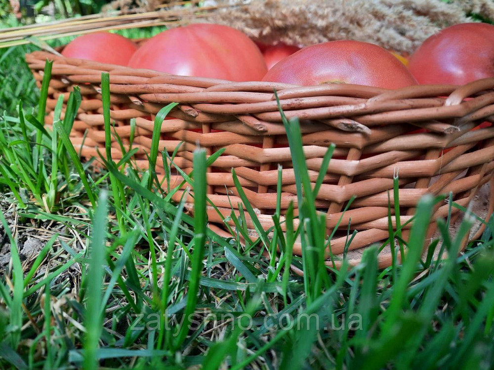 Лоток плетеный из лозы для хранения фруктов и овощей Киев - изображение 7