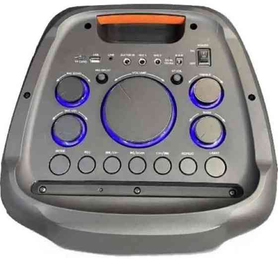 Портативная Колонка з мікрофоном ZPX ZX 7789 Київ