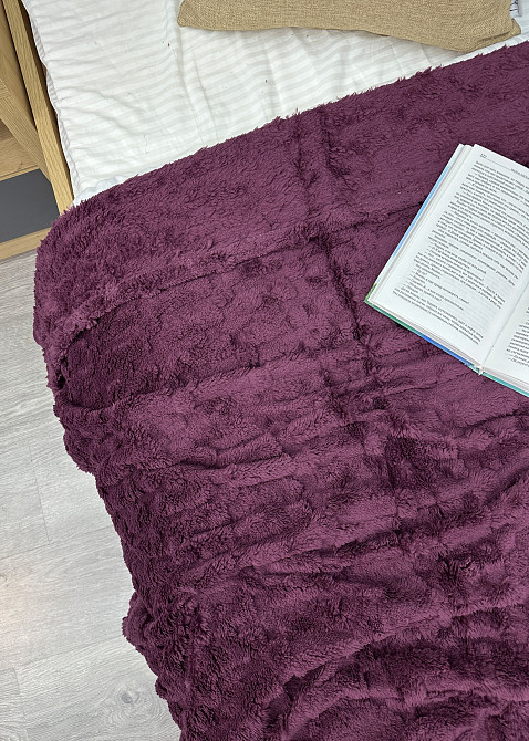 Плед-покривало 200х230 см (+-5см) Сливовый (87-242) Киев - изображение 2