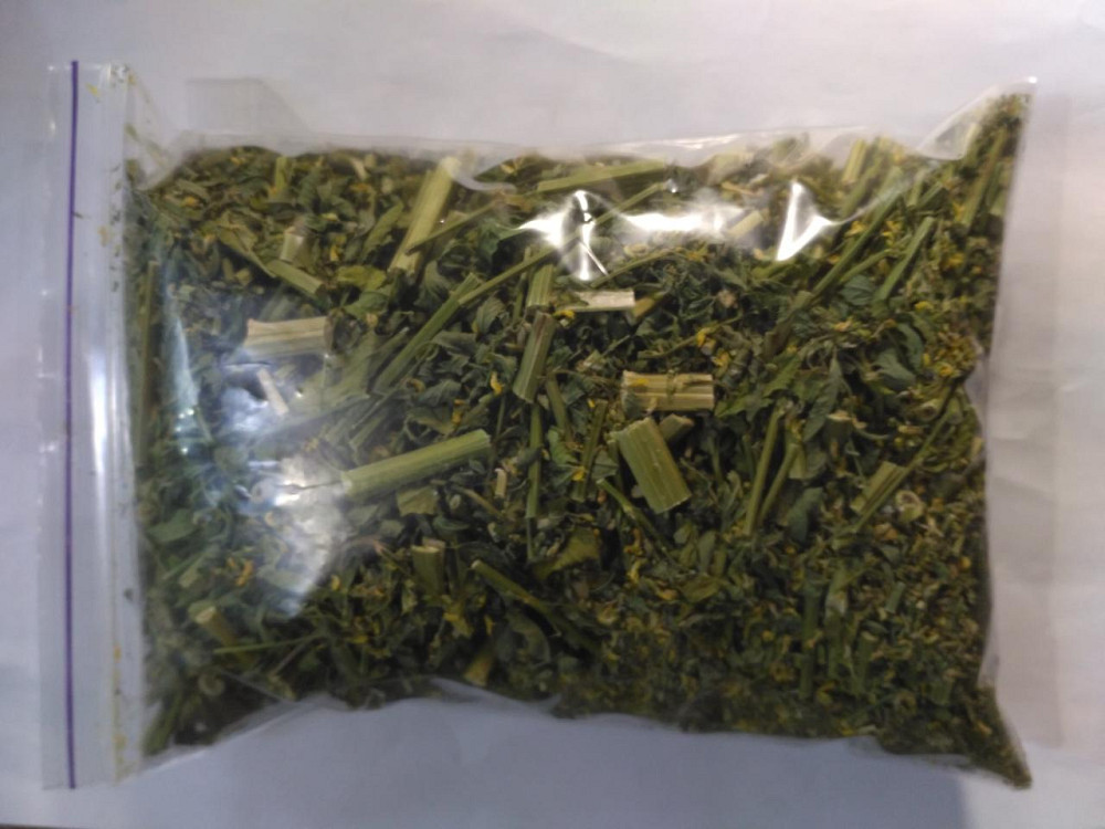 Буркун лікарський (Донник лекарственный) 100г master sem Киев - изображение 4