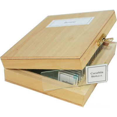 Набір мікропрепаратів Sigeta Зоологія 25 шт (65106) Вінниця - фото 1