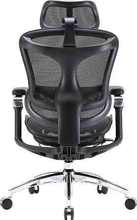 Крісло офісне Sihoo Doro C300 Pro Mesh Black (DORO-C300-PRO-M101) ( 17925 ) Харків