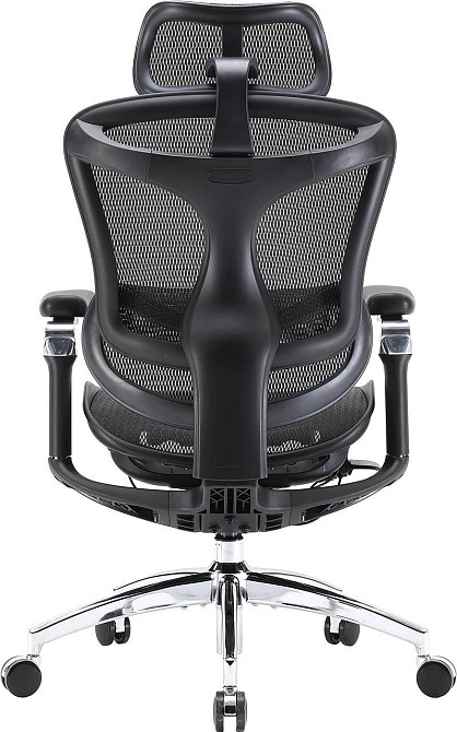 Крісло офісне Sihoo Doro C300 Pro Mesh Black (DORO-C300-PRO-M101) ( 17925 ) Харків - фото 3