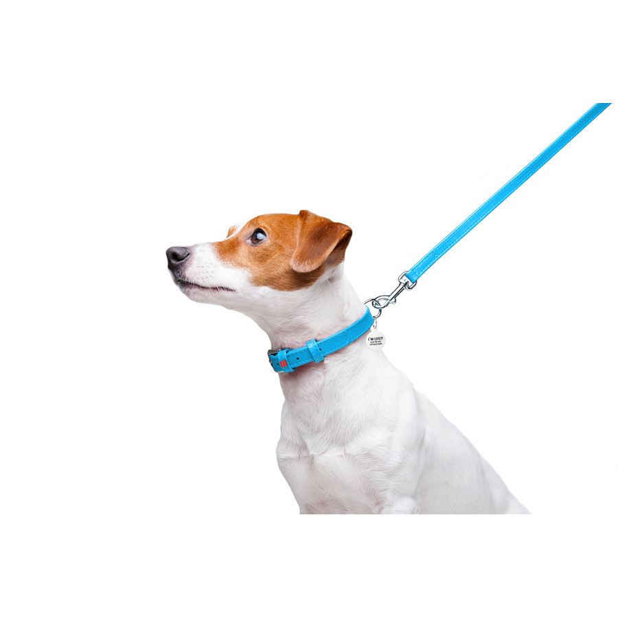 Повідець для собак шкіряний WAUDOG Glamour, Ш 12 мм, Дов 122 см блакитний Коломия - фото 3