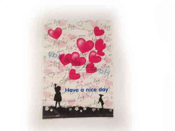 Пакет з прорізною ручкою 28см 42см Nice (50 шт) Харків