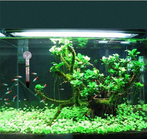 Термометр для акваріума 11 см різнобарвний Київ - фото 3