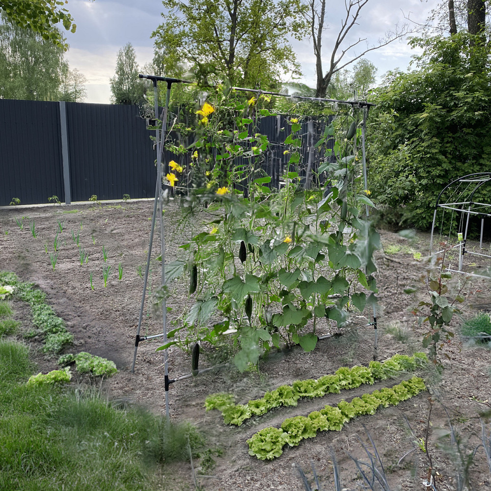 Шпалера для огірків подвійна Chipo Lina - висока металева опора для кучерявих рослин у комплекті з с Борисполь - изображение 9