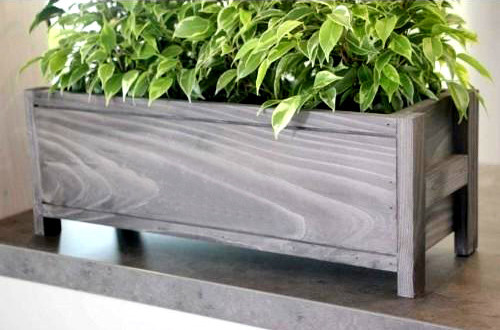 Кашпо "Гравілат" моріон Миколаїв - фото 3