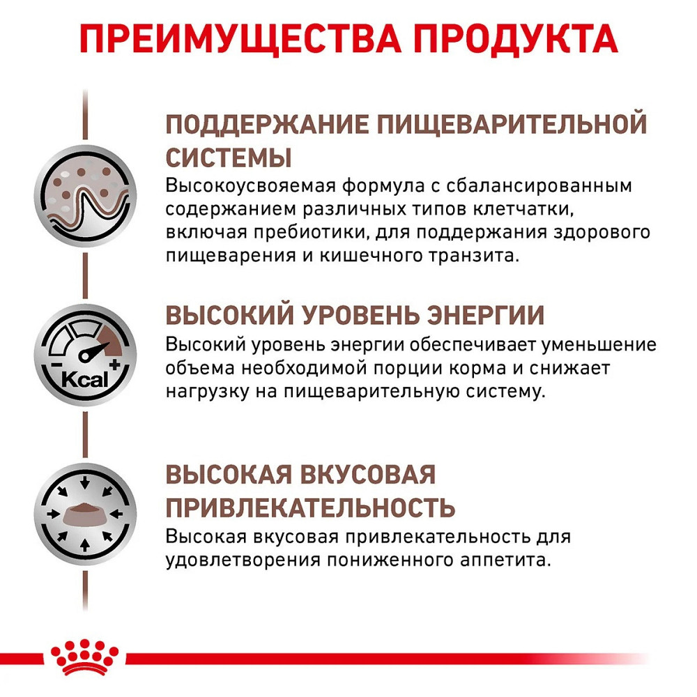 Royal Canin Gastrointestinal (Роял Канін Ґастрофінтансал) сухий корм для котів при розладах травлення 2 кг. Запоріжжя - фото 2