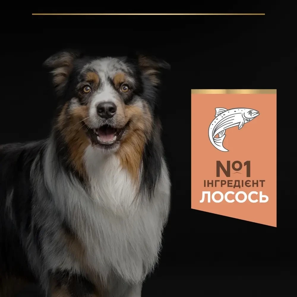 Сухой корм PRO PLAN Medium Puppy  Киев - изображение 7