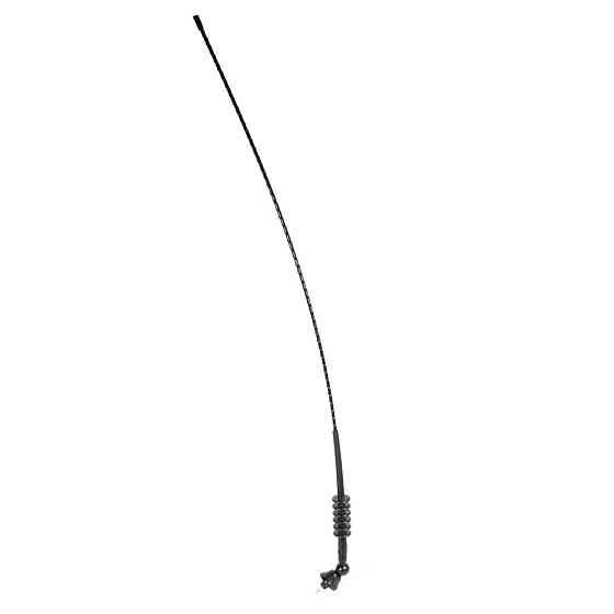 Антена автомобільна радіо AM/FM "Antenne Fiberglas" 12В 80см Alca, 530000 Київ