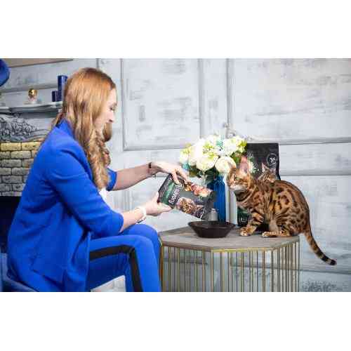 Корм сухий Savory Adult Cat Gourmand Fresh Turkey and Duck для дорослих котів зі свіжою індичкою і качкою 400 г Київ