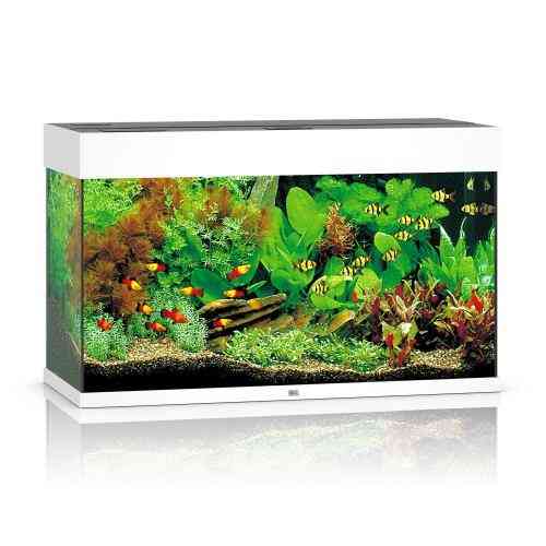 Акваріум Juwel прямий Rio 125 LED білий 81х50х36 см 125 л Київ