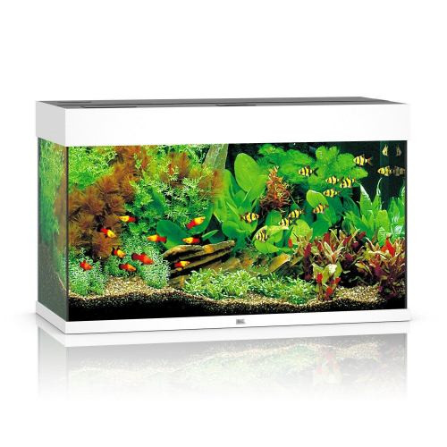 Акваріум Juwel прямий Rio 125 LED білий 81х50х36 см 125 л Київ - фото 1