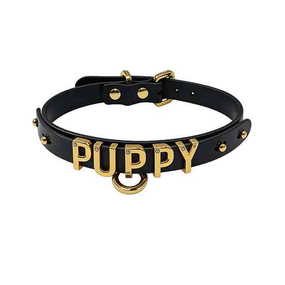 Чокер з написом PUPPY від UPKO з італійської шкіри, чорний із золотою фурнітурою Sex Aura Київ