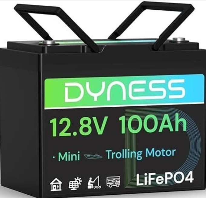 АКБ LiFePO4 SJY, Dyness, 100 Агод, 12.8. Харьков - изображение 5