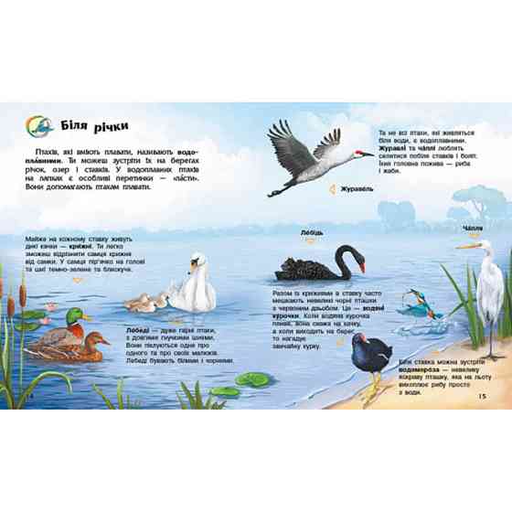 Енциклопедія дошкільника Птахи 614032 для найменших Вінниця