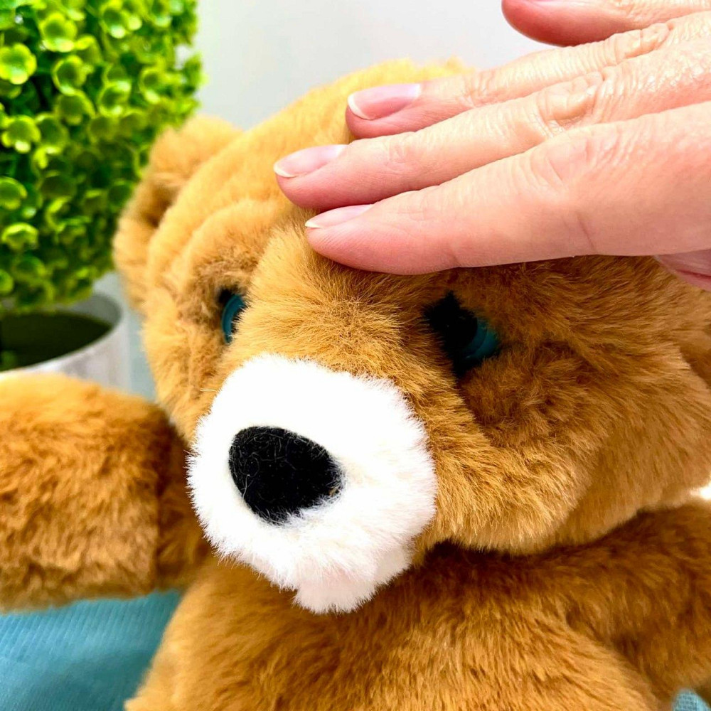 Ведмедик інтерактивний м'який пляшечка в комплекті моргає сенсорний та магнітний датчик звук 24см Коричневий (933-216 E) Чернигов - изображение 10