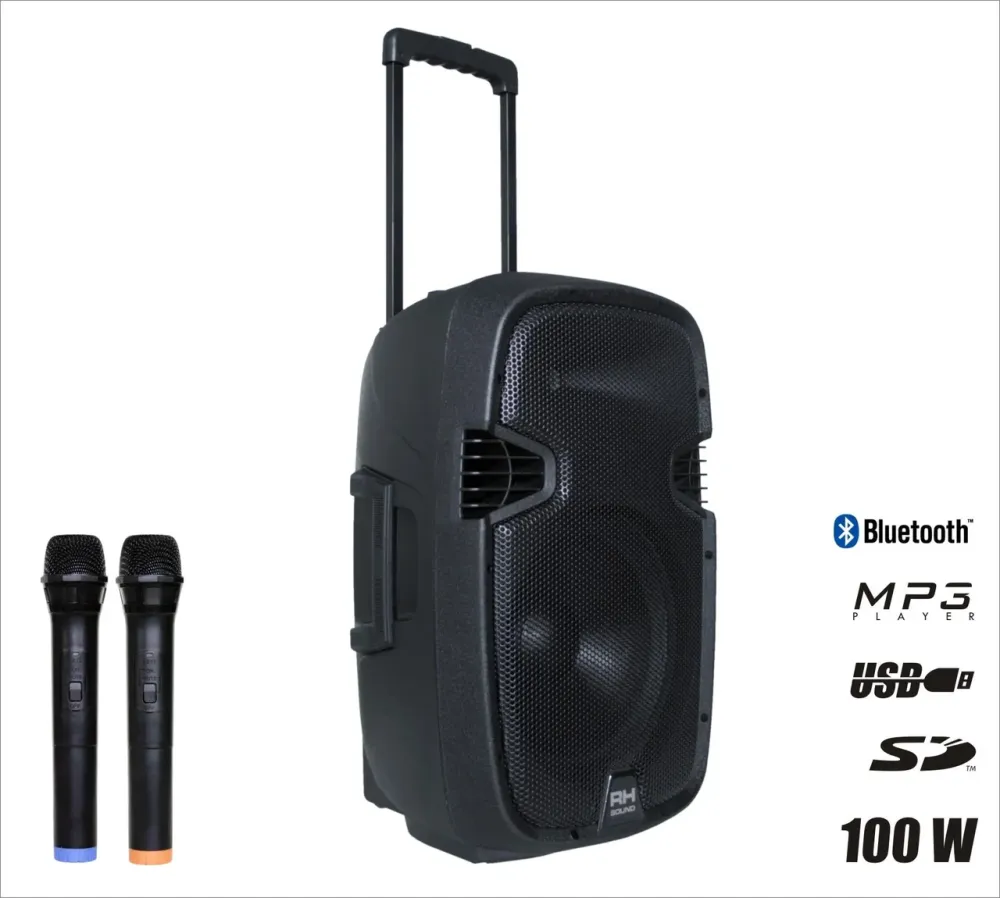 Колонка RH Sound PP2112ADX-CB Киев - изображение 1