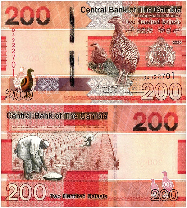 Гамбия / Gambia 200 Dalasis 2019 Pick 42а UNC Полтава - фото 1
