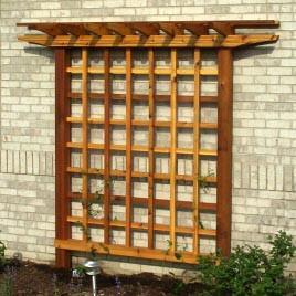 Пергола-шпалера 