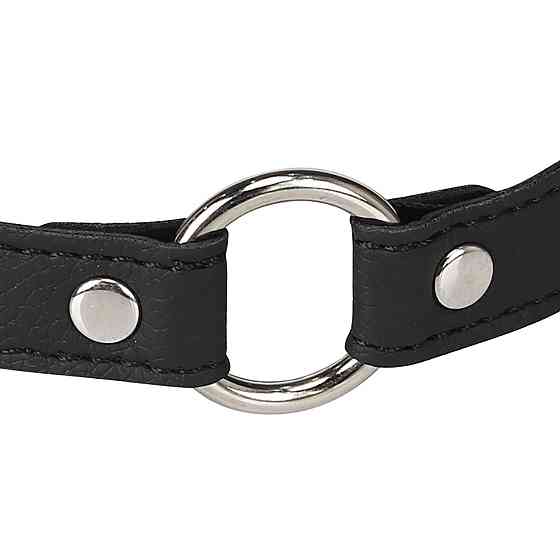 Нашийник - Erospace Wild Play Choker With Ring C17 Sex Aura Київ