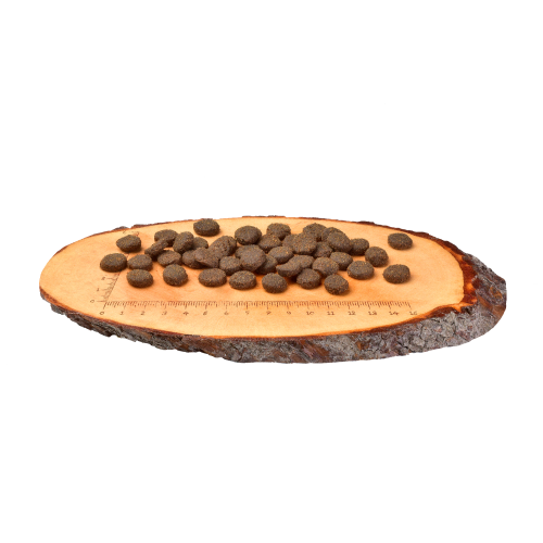 Корм сухий Carnilove Adult Raindeer для дорослих собак усіх порід з північним оленем 12 кг Київ