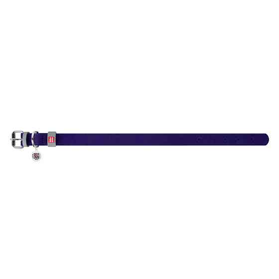 Нашийник для собак шкіряний WAUDOG Classic, Ш 35 мм, Дов 46-60 см фіолетовий Київ