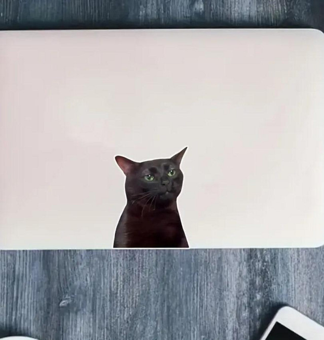 Набор водонепроницаемых наклеек с черным котом (2 шт.) – виниловые стикеры для авто, ноутбука, стек. Киев - изображение 2