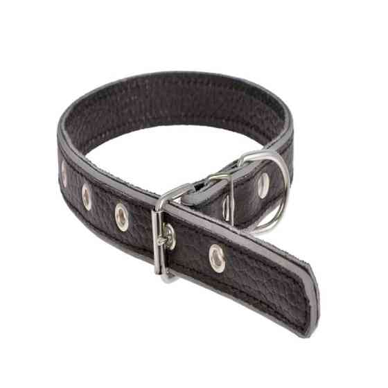 Нашийник 227 20мм "Класик" з світловідбиваючої стрічкою Вінниця