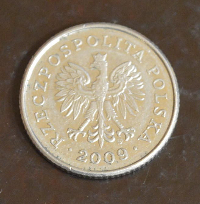 Польша. 50 грош 2009 г(ББ) Полтава - изображение 1