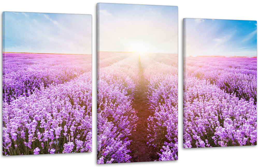 Модульна картина Полі Лаванди Art-184_3 Київ - фото 1