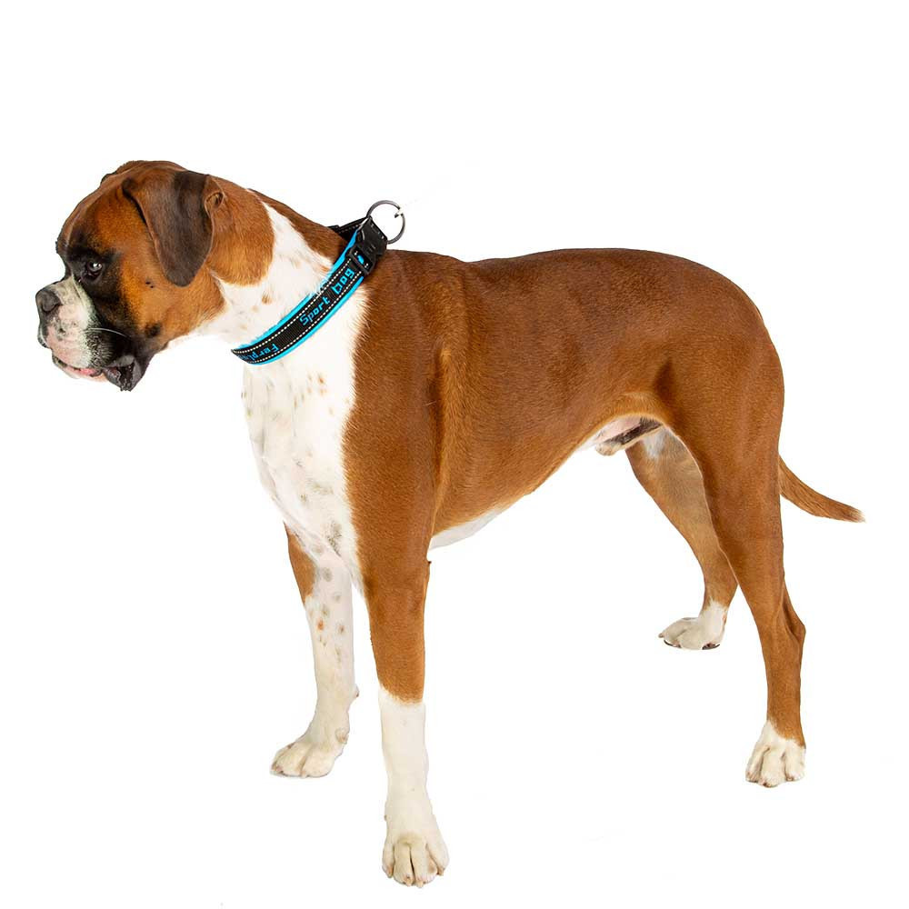 Кошійник для собак Ferplast Sport Dog C (Ферпласт Спорт Дог С) 550, Синій, 25 Запоріжжя - фото 8