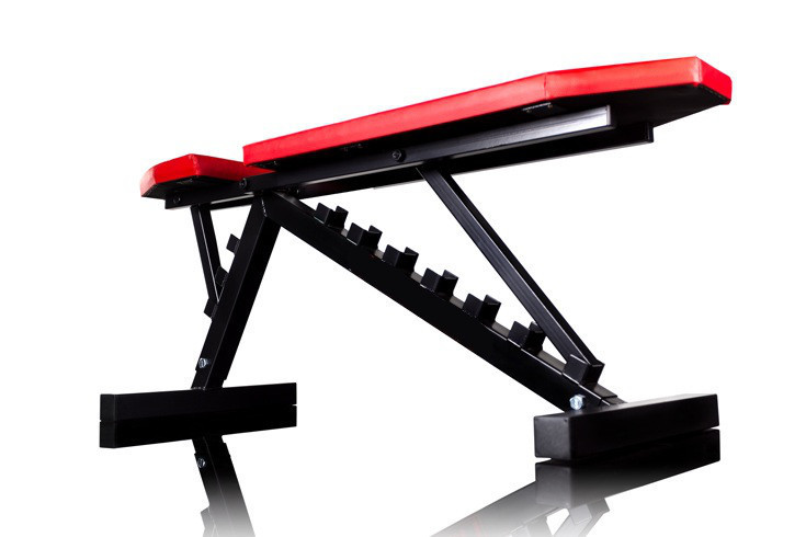 Лавка для жиму регульована Pro-10 Стійки, лавки для жиму і присідань без стійок Київ - фото 2